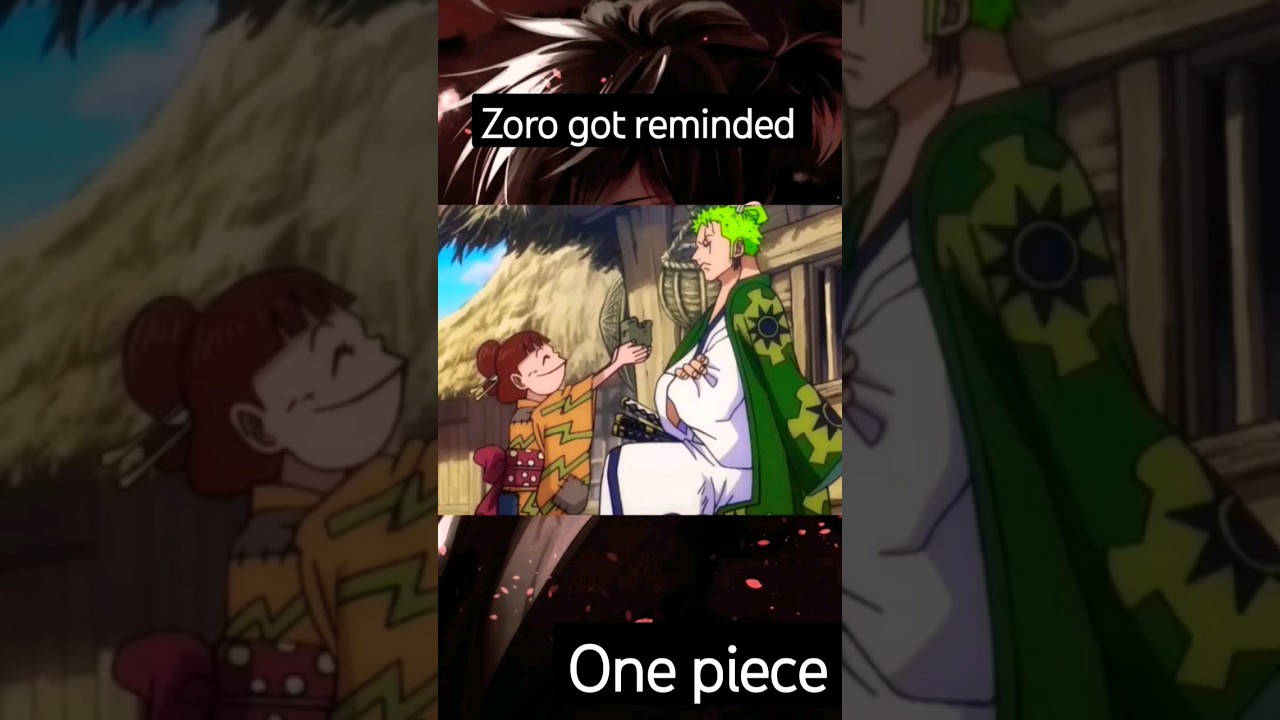 #onepiece #zoro