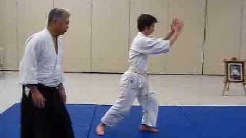 Happo Undo Details - AAA 5th Kyu Ki Test and Exercise