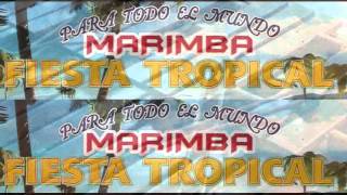 Marimba Tropical - Toda una vida