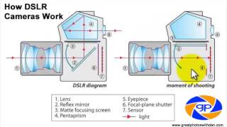 How DSLR Cameras Work