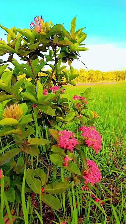 2005      ,            #77484424772743264 #3679687243367968 #668482846625 #3264593673837