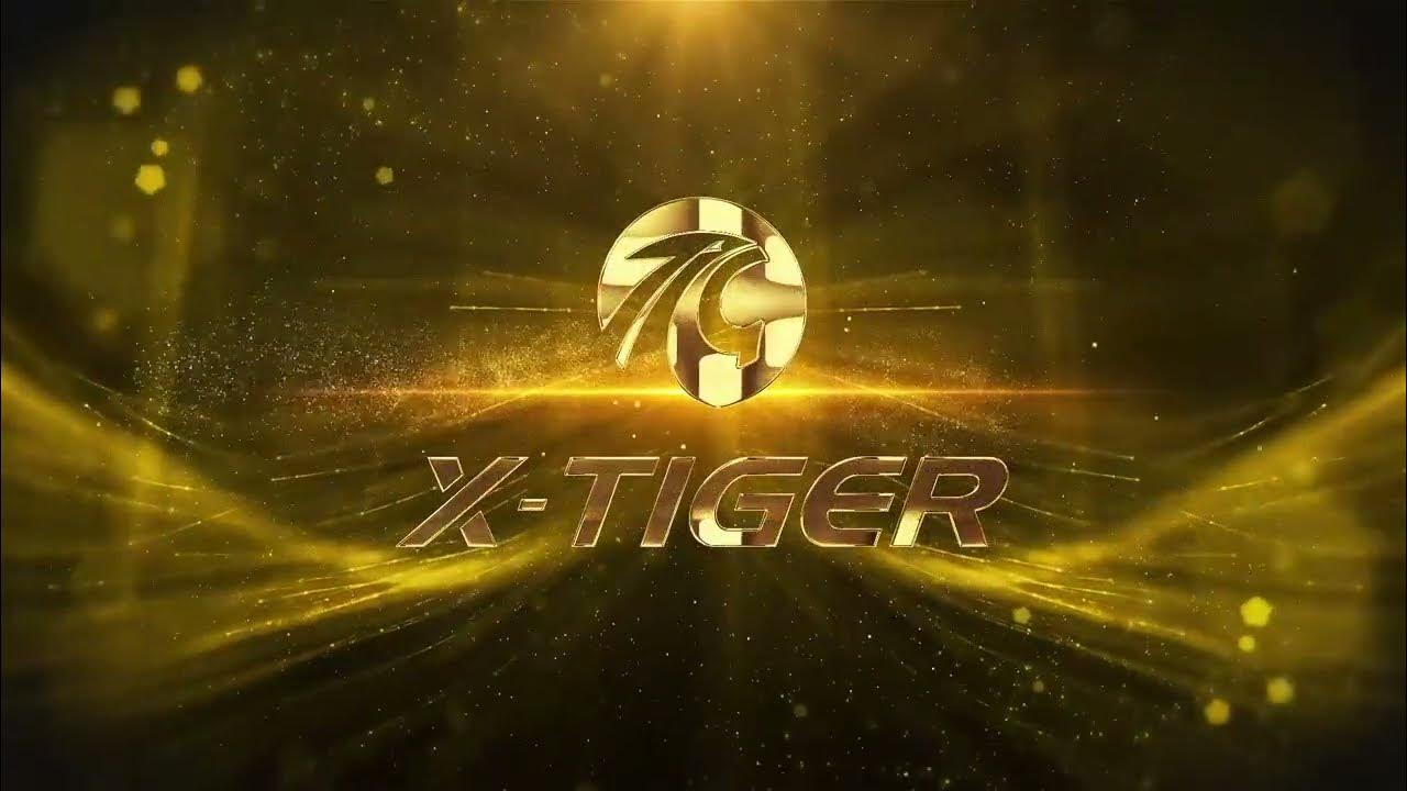 Велосипедный фонарь X-TIGER QD-02 - YouTube
