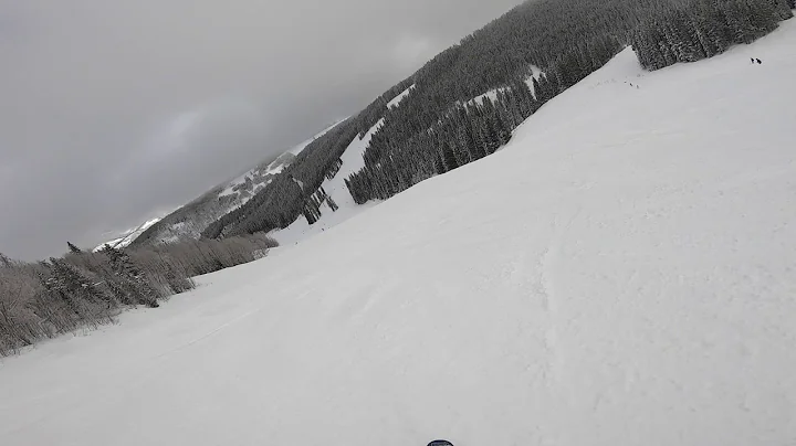 Beaver Creek   Jan 2020   Stone Creek Meadows