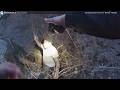 BODYCAM: Aggravated Robbery Suspect Caught After Foot Pursuit Through Creek