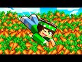 MINECRAFT MA È PIENO DI CAROTE! 🥕🥕🥕
