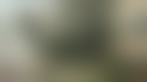 Backdraft Fire Compilation