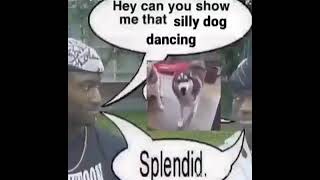 Hey can you show me that silly dog dancing.    Splendid.