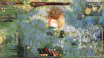 [Tree of Savior] Monster Card Album Bossing!