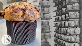 Il Panettone: la ricetta milanese originale della Pasticceria Besuschio dal 1845