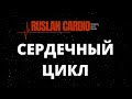 Сердечный цикл от А до Я. Аускультация сердца.