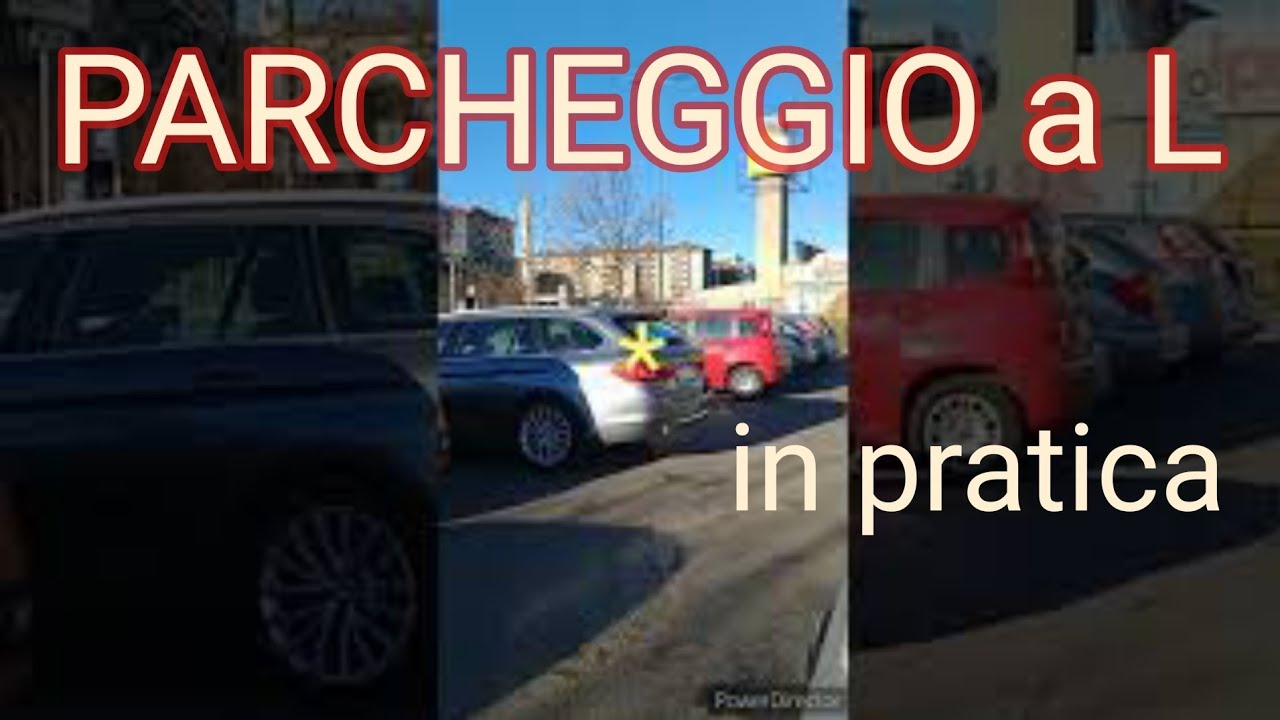 Parcheggio Praxis, medico pratica, Heil pratica Schild (blu, 20 x 30 cm), pittogramma privato parcheggio, Privat Ragione pezzi, segno di parcheggio riservato – Parcheggio freihalten, stellplatz