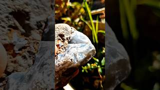 Agate stone