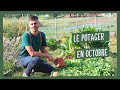 Que faire fin septembre au potager ? Tous mes conseils et astuces !