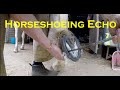 Horseshoeing Echo