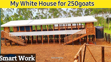 How I built a standard White House for my 250 Mother Goats | 2023
