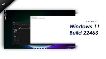Windows 11 22463