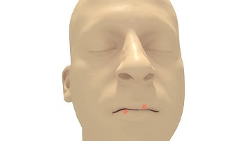 Non-manifold Level Sets: A Multivalued Implicit Surface Representation