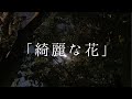 【ボカロ曲】綺麗な花 / 夏色花梨