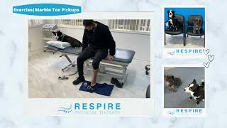 Respire Physical Therapy Exercise Marble Toe Pickups