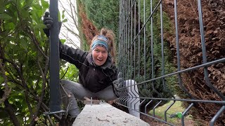 I Install this Fence in one Afternoon on My Own | Martinas Life