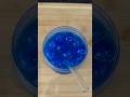 Blue Drink !! #blue #drink