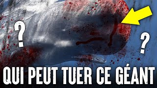 5 Animaux Qui Pourraient ☠️ Vaincre Un CACHALOT