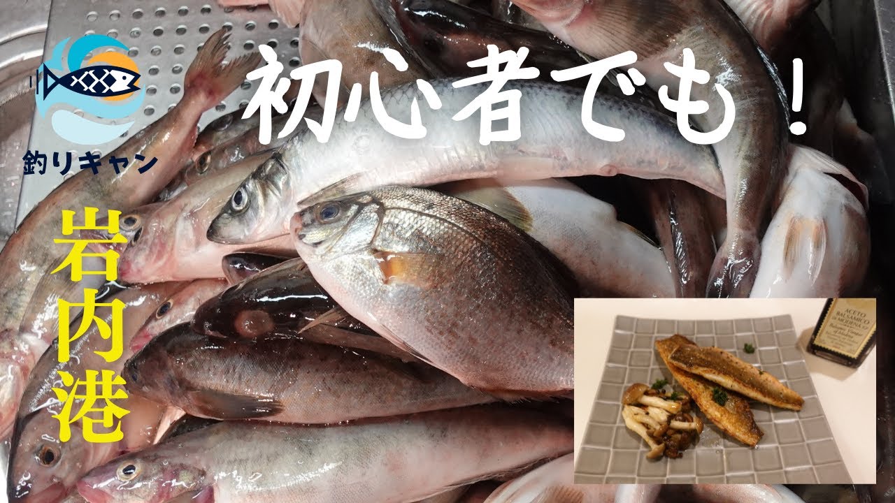 【ホッケ釣り】岩内港へキャンピングカーで車中泊。釣り初心者夫婦とワンコで大漁！2021年4月#6