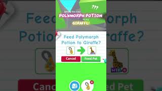 NEW Potions Update?! - turn any pet into a random one for 10 minutes!