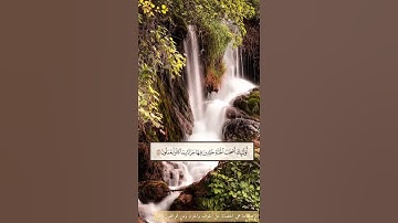 تِلاوة من سورة الأحقاف || الشيخ عبدالرحمن الماجد