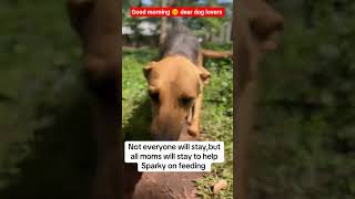 Our Paypal Link In The Bio To Help With Food