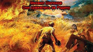 Михаил Шолохов - Они сражались за Родину. Аудиокнига