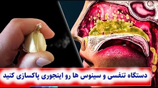 دستگاه تنفسی و سینوس ها رو اینجوری پاکسازی کنید