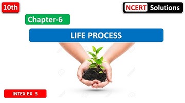 INTEXT EX 5 | Chapter 6 - Life Processes | NCERT SOLUTION FOR CLASS 1O SCIENCE