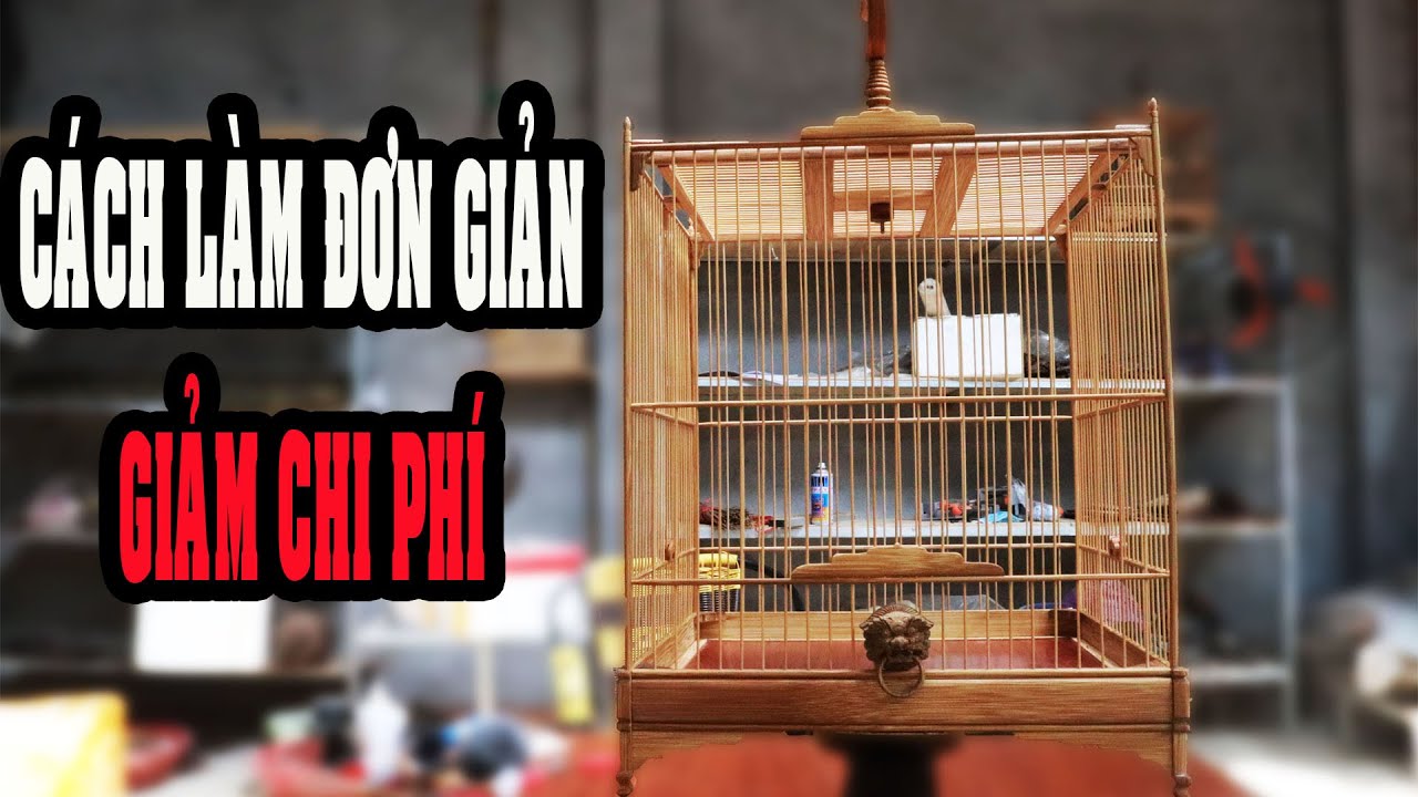 Cách làm lồng chim đơn giản dễ làm chi phí thấp