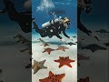 Swinging With Fish Underwater