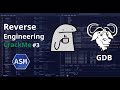 Solving A Simple Crackme Challenge Using GDB /Crackmes.one 0x02