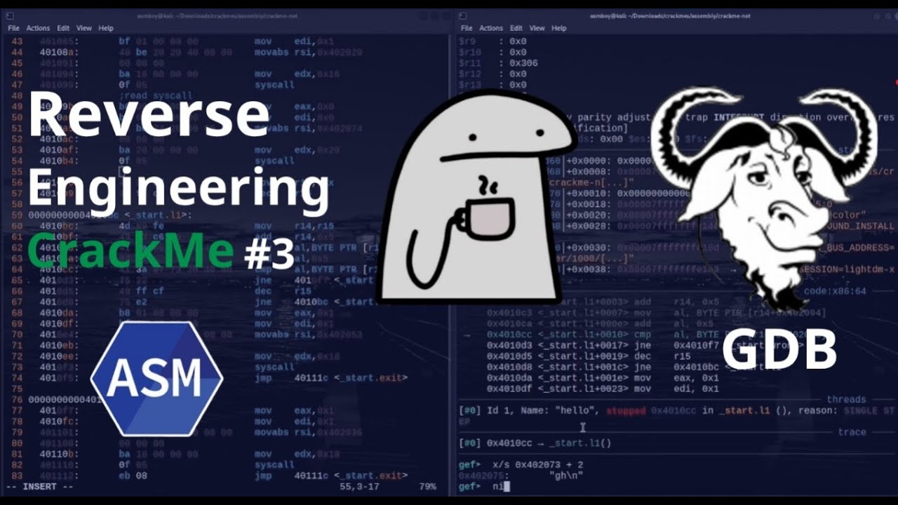 Solving A Simple Crackme Challenge Using GDB /Crackmes.one 0x02