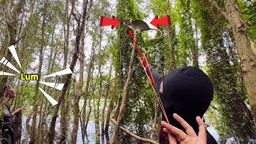 Săn Chuột Mùa Nước Nổi Bằng Ná Về Nướng