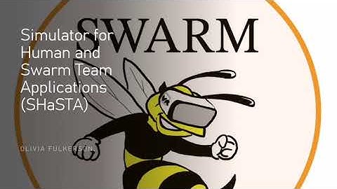 SwarmProjectMarketingVideo