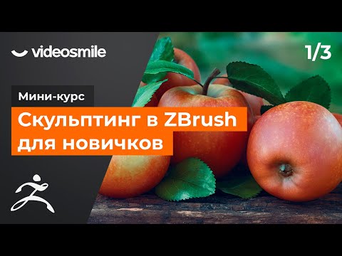 Видео: ZBrush для новичков - Знакомство с программой | Урок 1