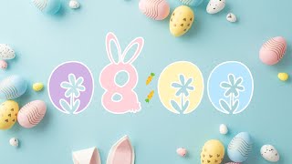 8 Minute Pastel Springtime Countdown Timer