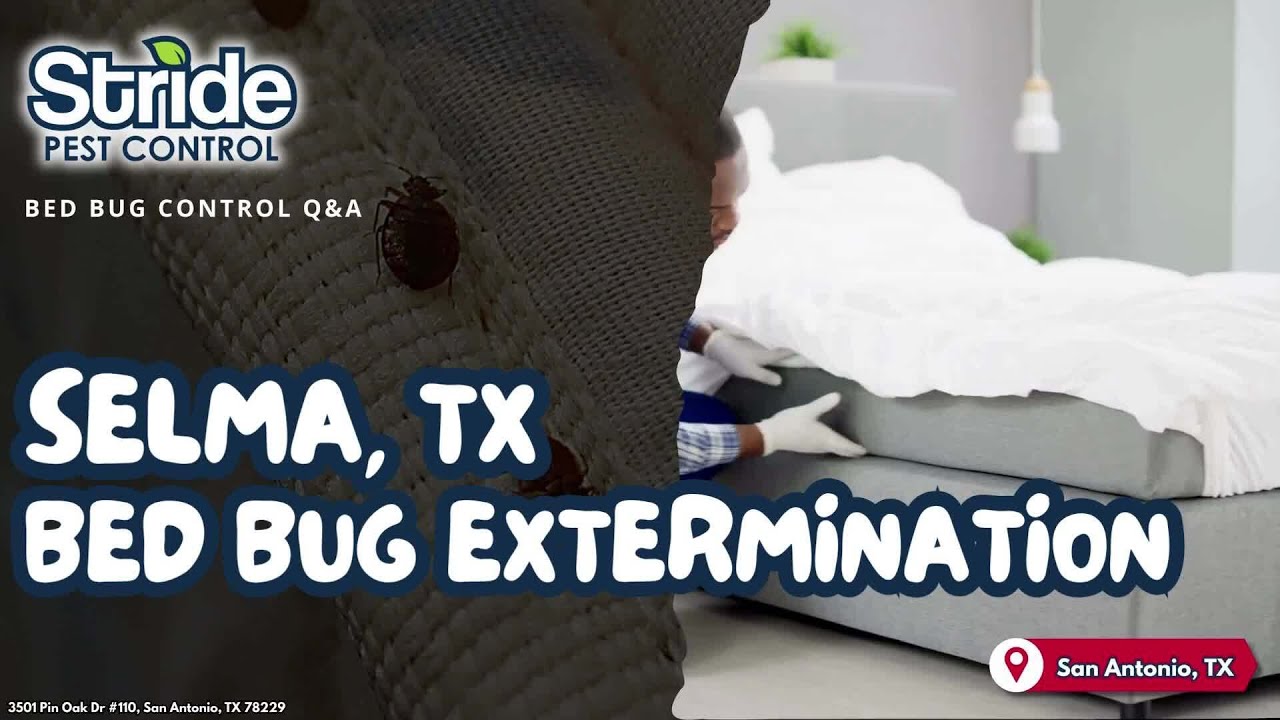 Selma, TX Bed Bug Extermination (210) 547-8410