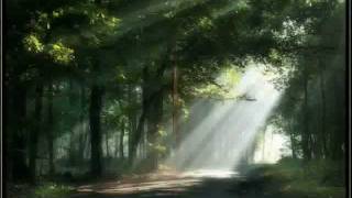Watch Michael Franks Bird Of Paradise video