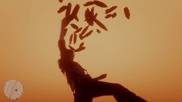 Red Dead Redemption 2 Online - Falling through the map