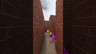 Try To Hide From Scp-096 #garrysmod #scp096 #gmod