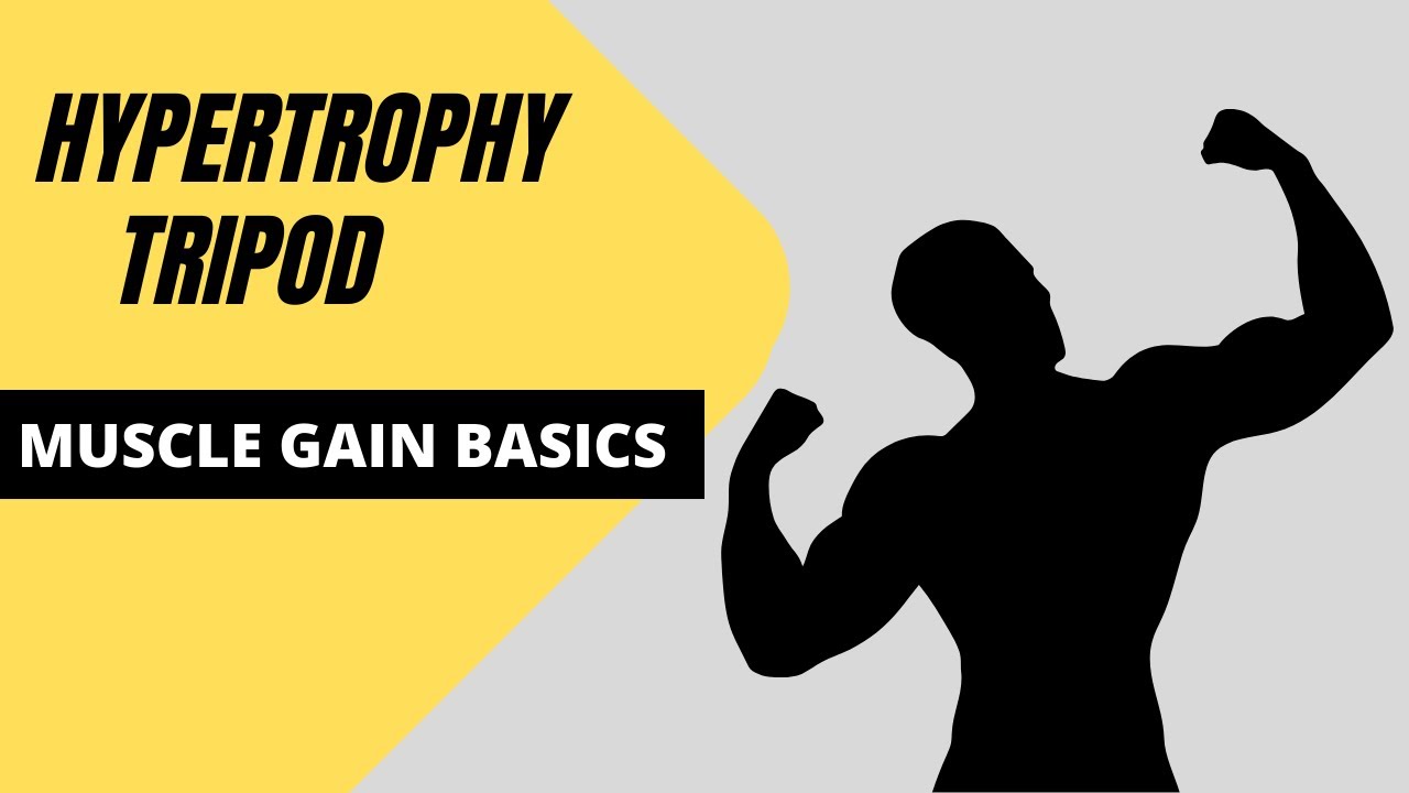 HYPERTROPHY TRIPOD BASICS OF MUSCLE GAIN YouTube
