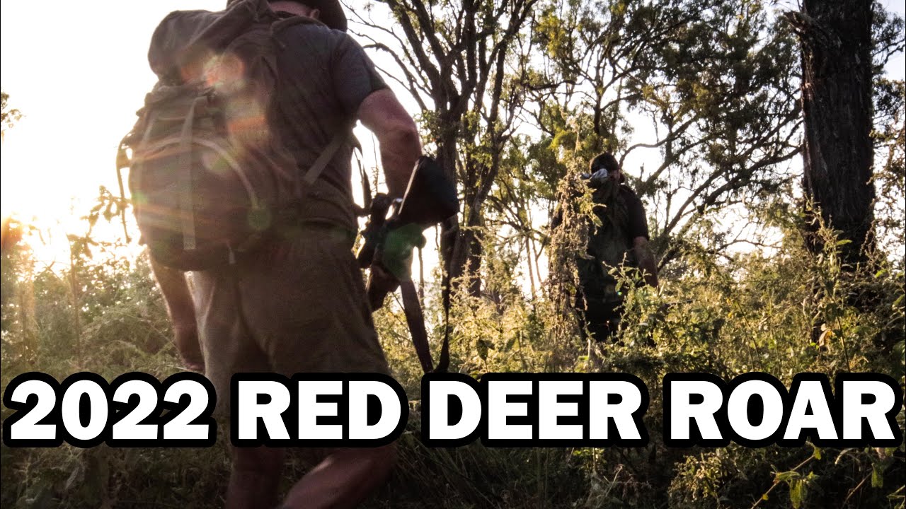 Red Deer rut hunt in Australia!! // 3 days hunting and exploring in