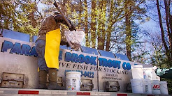 Trout Stocking, Spring 2017