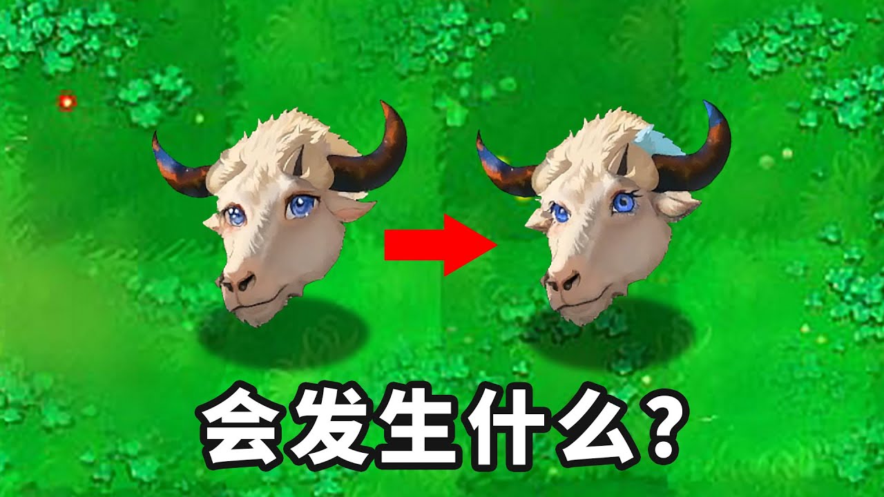 當頭羊變成淡藍色，會發生什麼事？