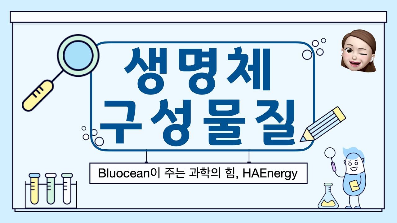 21. 생명체 구성 물질 #생명체구성물질 #탄수화물 #단백질 #지질 #핵산 #무기염류 #물 - YouTube